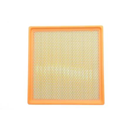 Фільтр повітряний RENAULT TRAFIC 2.5 DCI 03- (вир-во ALPHA FILTER) 5089 AF1829s фото товару