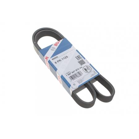 Ремінь генератора Renault Master/Opel Movano/Renault Kangoo 1.9dCi/dTi 98-/Trafic 2.0 06- (6PK1125) 30 1 987 947 972 фото товару