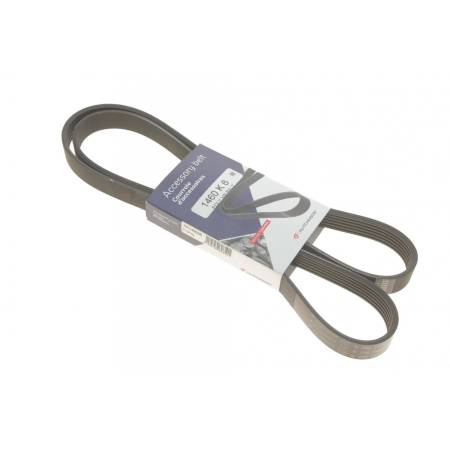 Ремінь генератора Ford Connect 1.8D/TDCi 02-/Opel Combo 1.2/1.4i -01 (6PK1460) 239 1460 K 6 фото товару