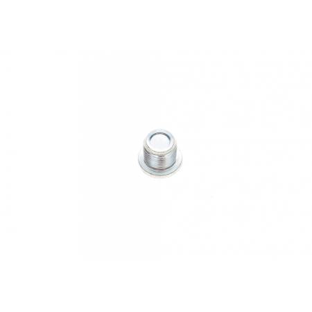 Болт зливу оливи Renault Trafic 01- (M16x1.5) (з магнітом) 5015 RWS2972 фото товару