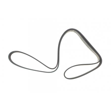 Ремінь генератора Ford Escort 1.6/1.8i 204 FB 6PK1675 фото товару